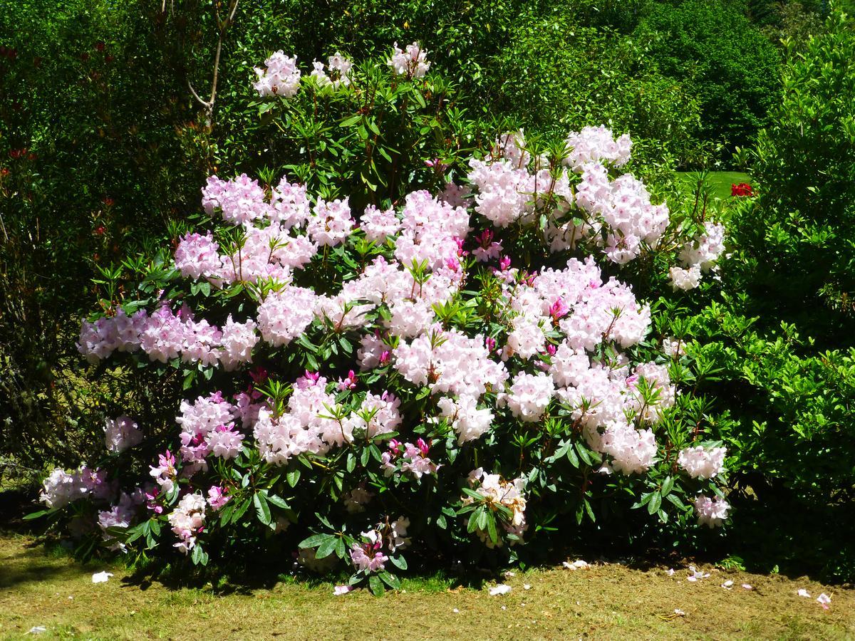 Acacia Heights Gardens Vila Taupo Exterior foto