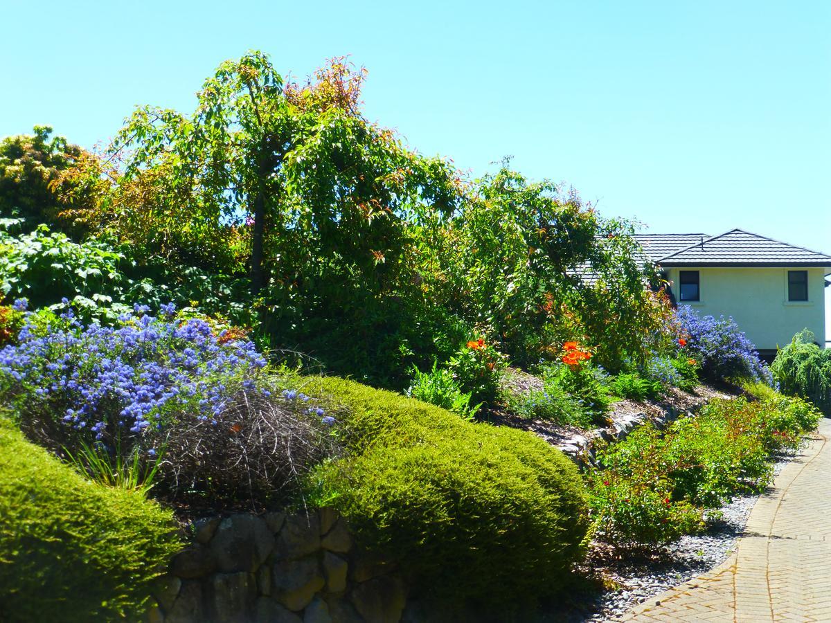 Acacia Heights Gardens Vila Taupo Exterior foto