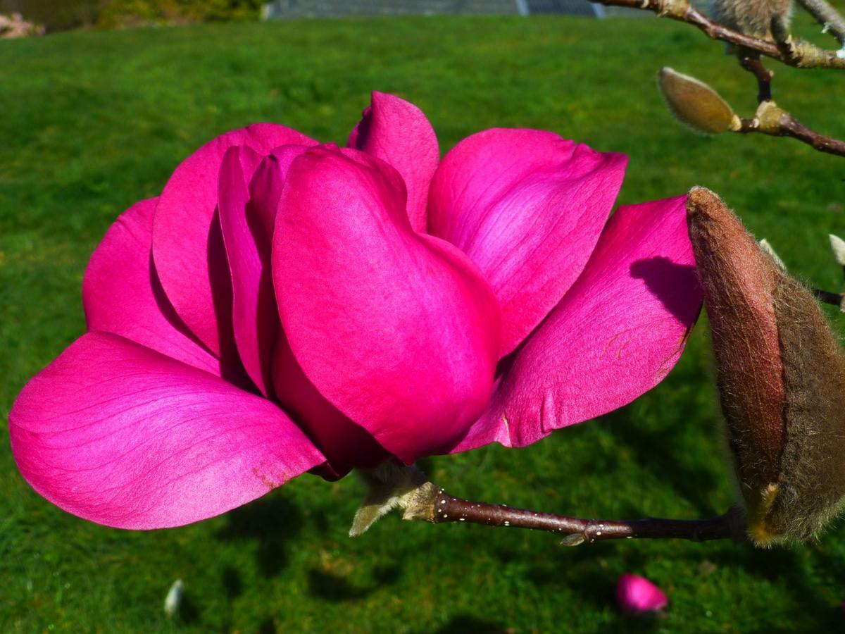 Acacia Heights Gardens Vila Taupo Exterior foto